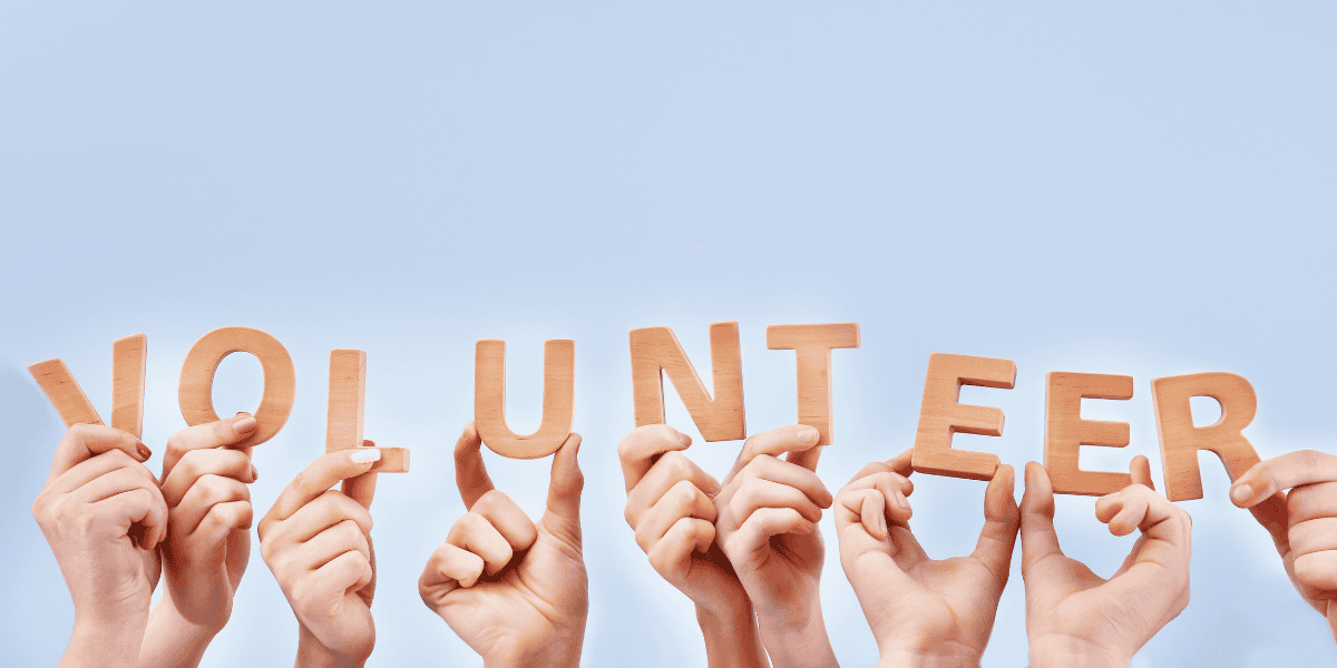 KY & Company volunteering